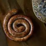 a Boerewors Farmers Sausage coil on a table with a plate on the side