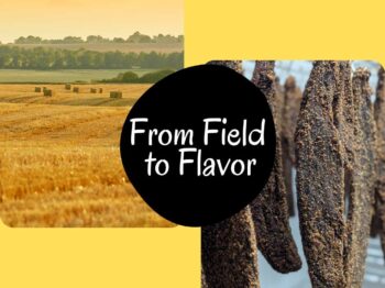 South African Biltong: Harvesting and drying biltong process