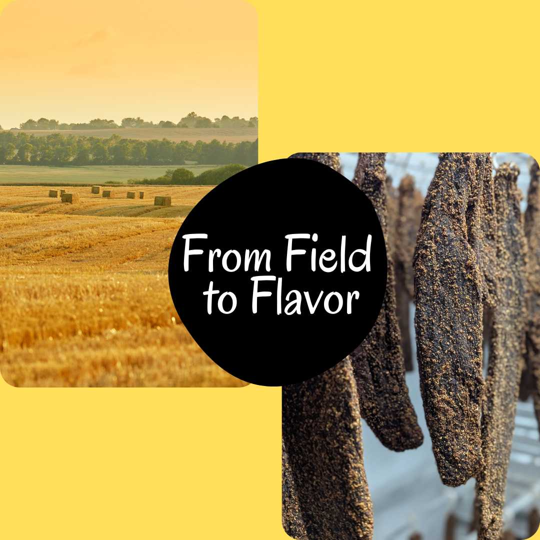 South african biltong: harvesting and drying biltong process