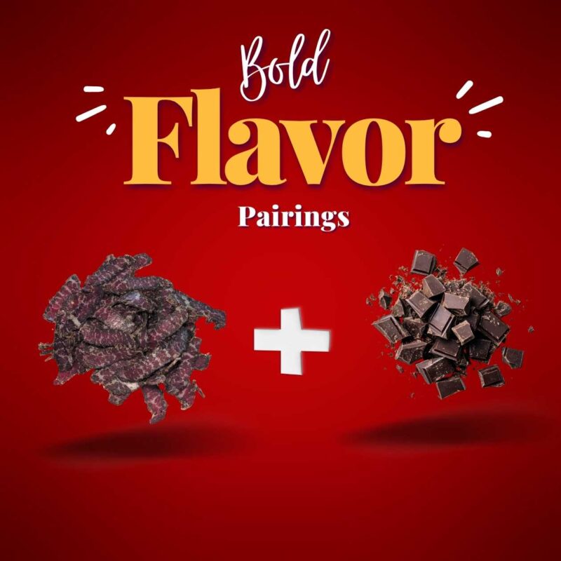 A poster of Bold Flavor Pairings. Bilton & Dark Chocolate