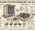 Summer biltong curing infographic explaining optimal temperature, humidity, and airflow for safe meat drying.
