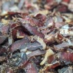 Close-up of sliced South African biltong showing rich texture, spices, and cured beef color.